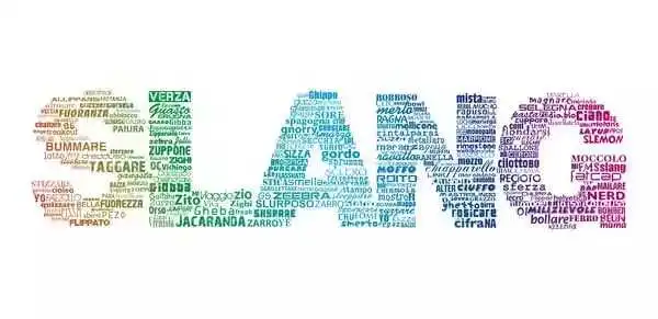 Have You Ever Thought What These Slang Words You Use Everyday Actually Mean?